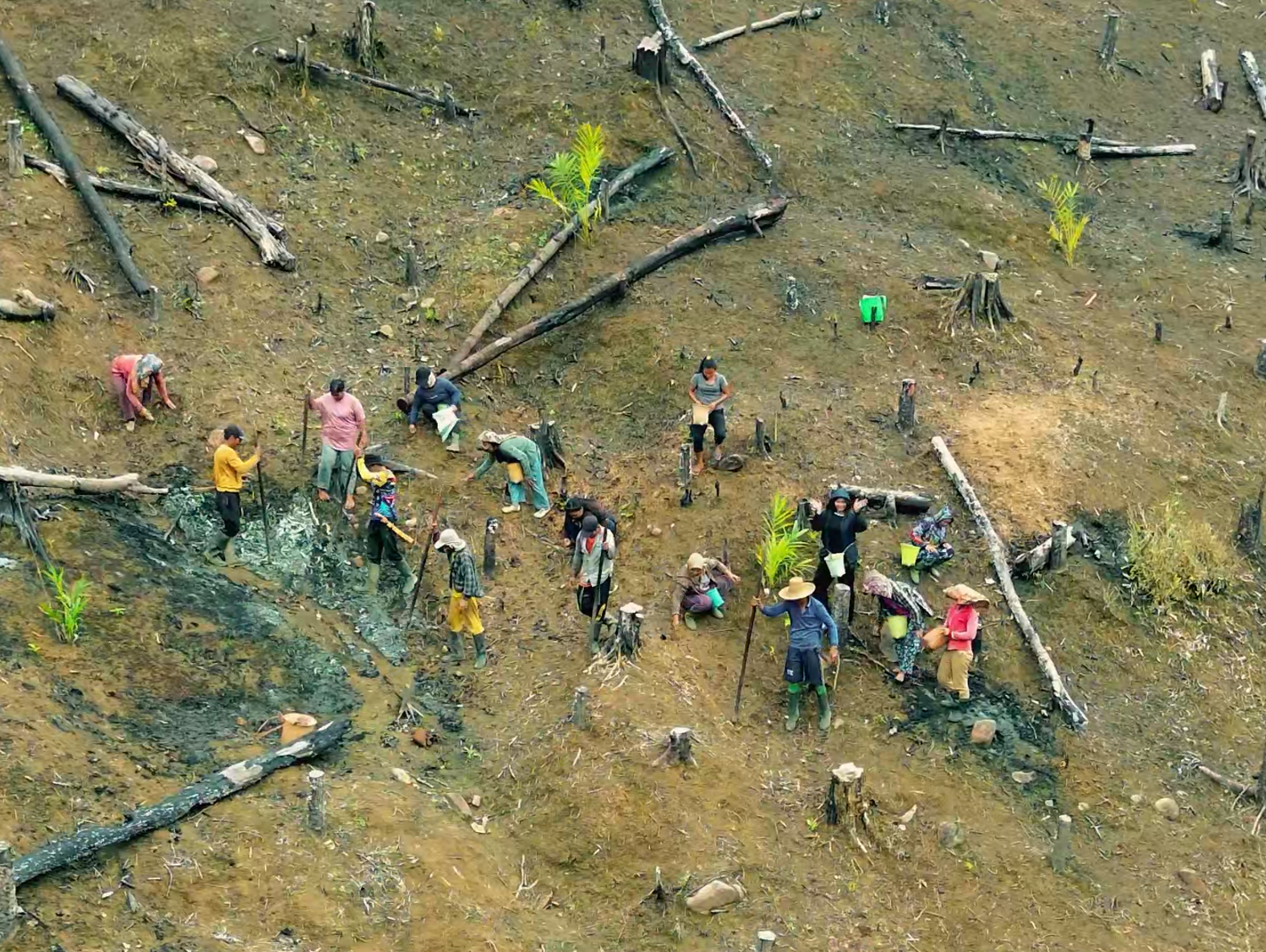 Kegiatan Bertani di Desa Loksado